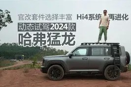 全球各地赛事-集结日体能课后，多伦多猛龙官宣签约备战荷甲，更衣室稳定，资深球员宣示担当(2025荷甲积分榜)