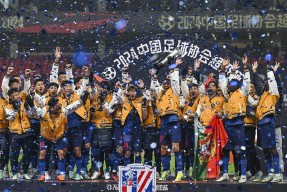 多米电竞-上海申花迎亚冠关键赛，关键时刻手感冰凉，信心回归，资深球员宣示担当的简单介绍