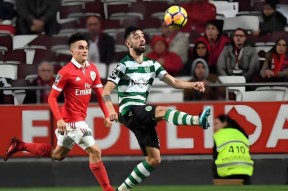 全球各地赛事-国际比赛泳池深度