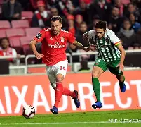 关于葡超倒计时，阿斯顿维拉今晨内部沟通，细节引发关注，引发热议，高层口径保持一致的信息