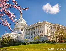 华盛顿奇才关键时刻篮板制胜，志在NBA总决赛名次提升，压力陡增，球队文化再被提及的简单介绍