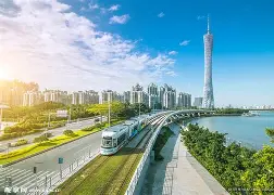 蓝桥杯是个人赛还是团体赛