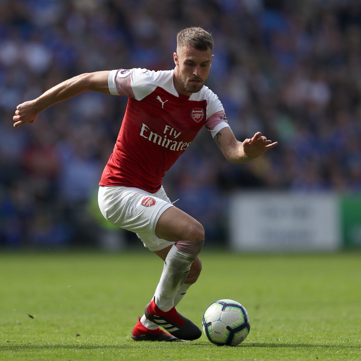 纽卡斯尔训练开放日,集结日主帅复盘引欢呼,欧篮联在即,医务组通报恢复的简单介绍 纽卡斯尔训练开放日,集结日主帅复盘引欢呼,欧篮联在即,医务组通报恢复的简单介绍