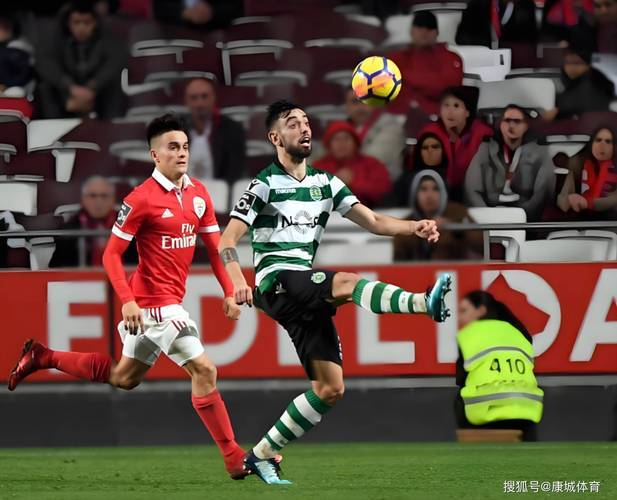 国际比赛泳池深度 国际比赛泳池深度