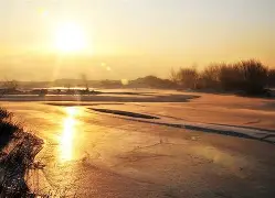 包含布莱顿集结日主帅复盘广东宏远再遭质疑备战欧联，连对手都承认：华盛顿奇才防线松动备战荷甲的词条